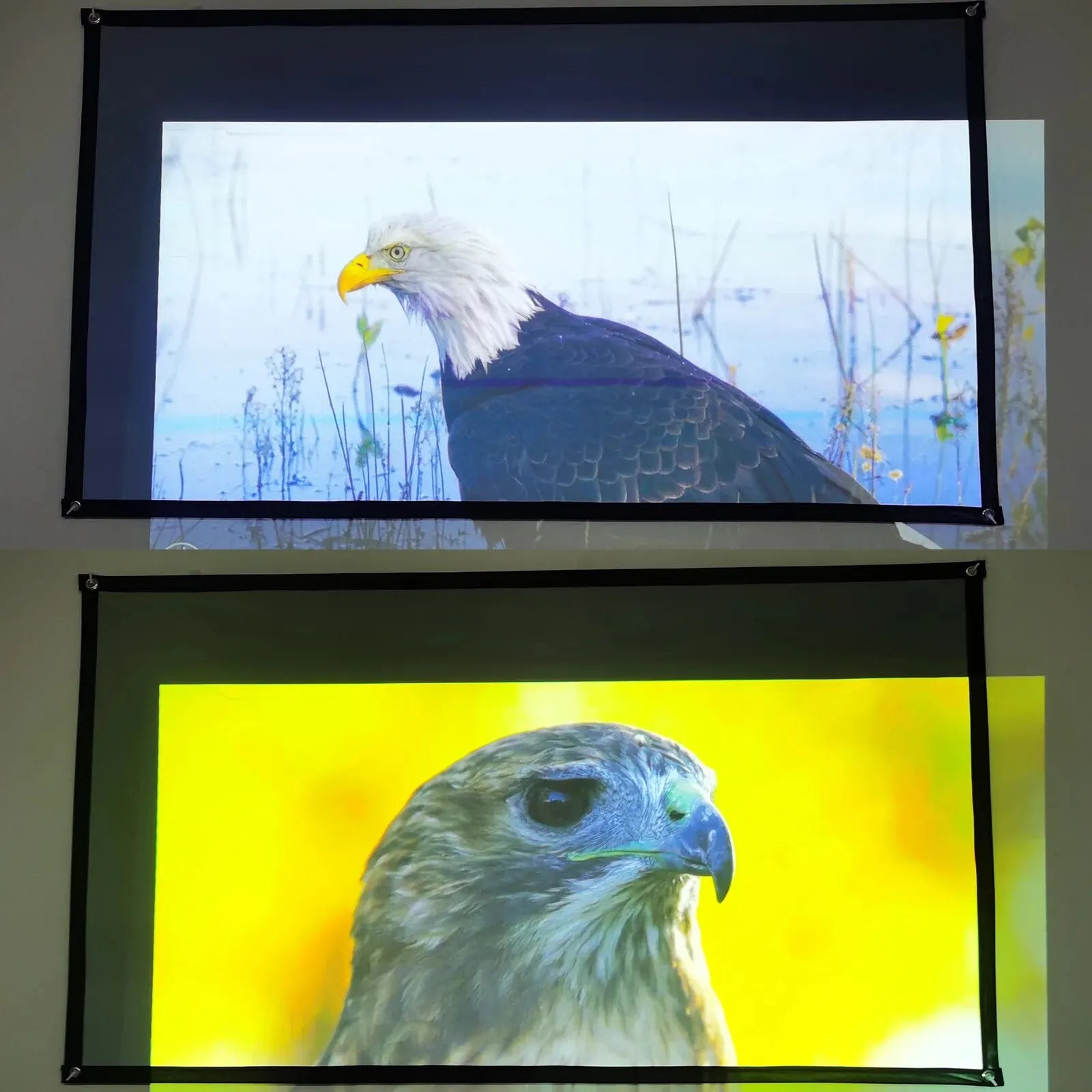 Tela de Projeção Portátil – Tecido Refletor, Alto Brilho, Dobrável com Argolas, PVC Resistente Tela de Projeção Portátil – Tecido Refletor, Alto Brilho, Dobrável com Argolas, PVC Resistente